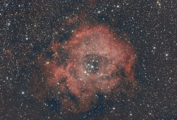 NGC2244 - Astrophotography