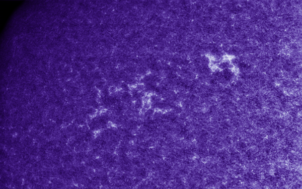 2020.10.25 Sun CaK (color) - Astrophotography