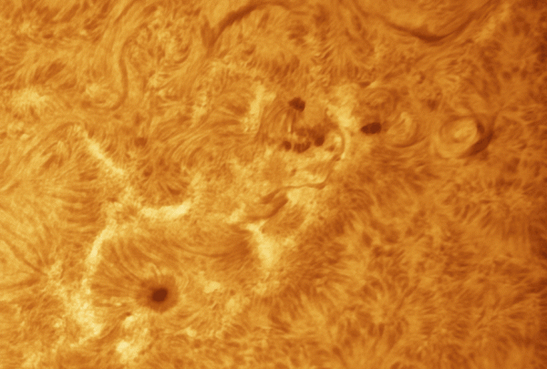 Animation of the Sun's chromosphere - Astrophotography