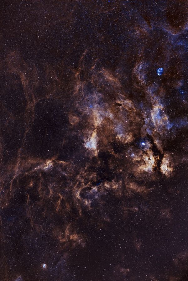 The Gamma Cygni Nebula - Astrophotography