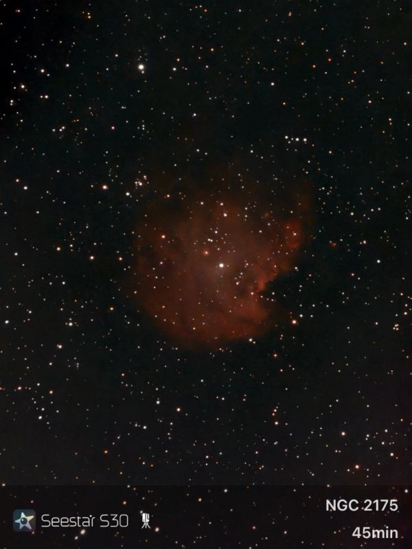 Monkey Head Nebula, NGC 2175 - Seestar S30 - Astrophotography