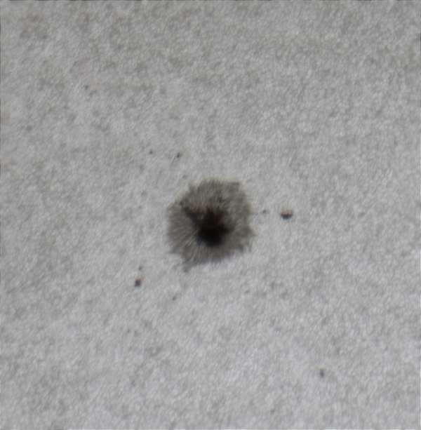 SUNSPOT GROUP #2824 22.05.2021 - Astrophotography
