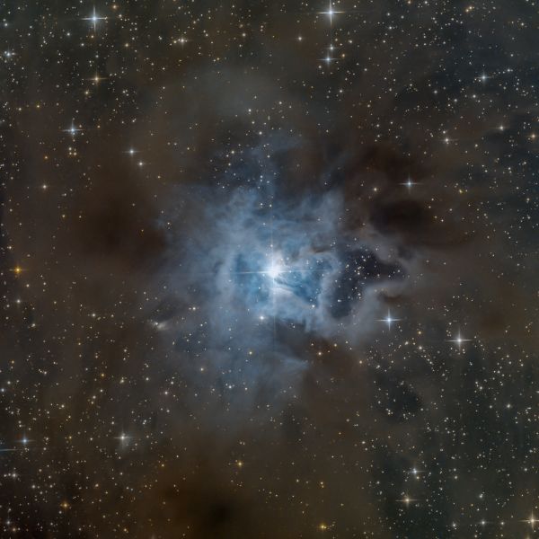 NGC 7023, Iris nebula - Astrophotography
