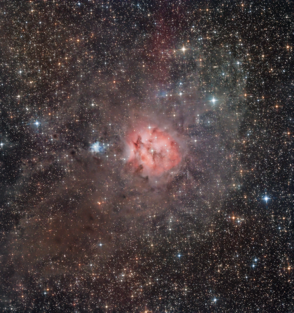 IC 5146 - The Cocoon Nebula - Astrophotography