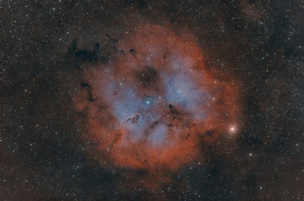 IC1396 HOO. New rig first light - Astrophotography