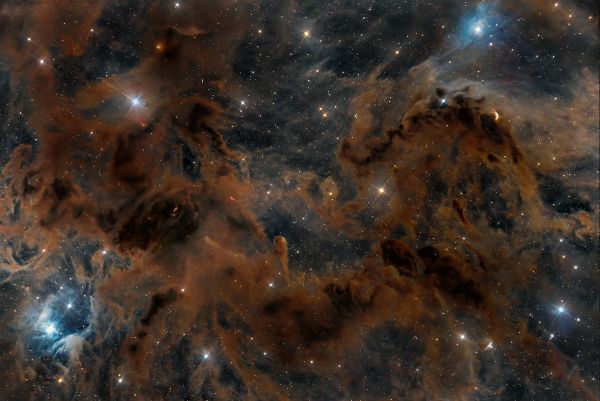 Space Kraken - Astrophotography