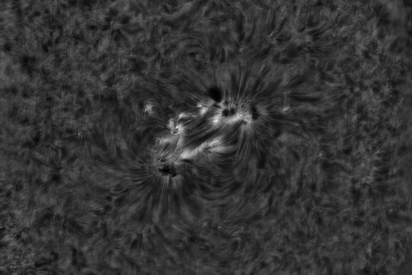2020.10.26 Sun AR12778 H-Alpha - Astrophotography