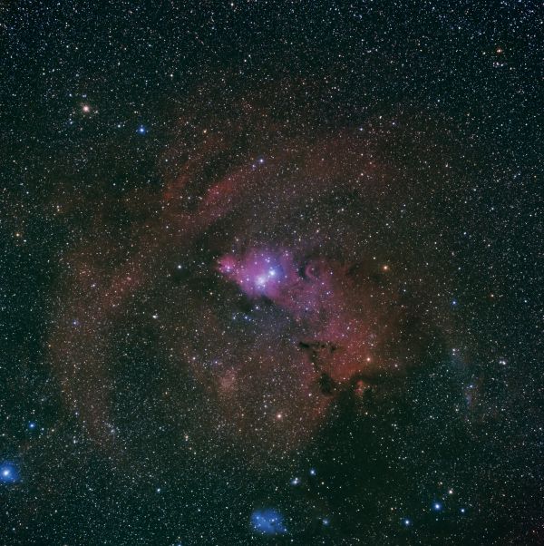 Cone Nebula and Christmas Tree Cluster - Astrophotography