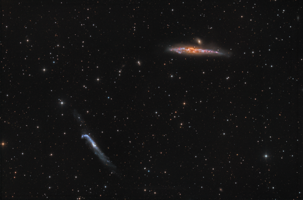 NGC4631(Whale) & NGC4656(Crowbar) - Astrophotography