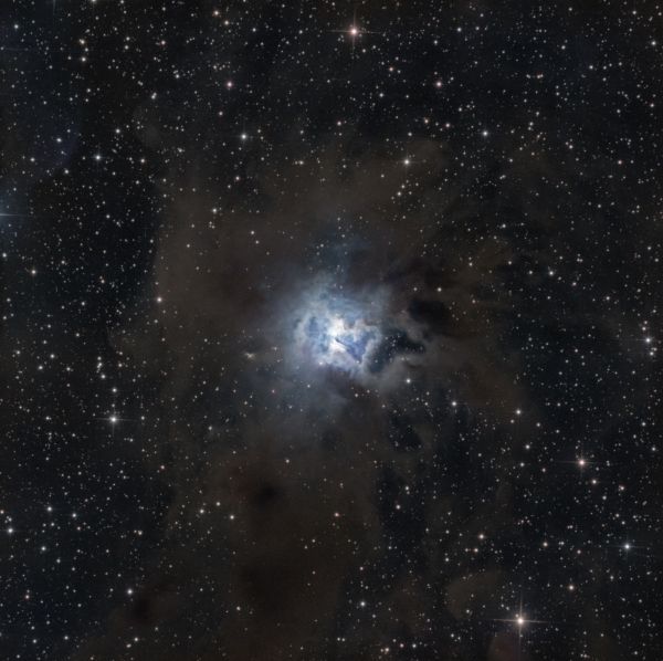 NGC7023 - Iris - Astrophotography