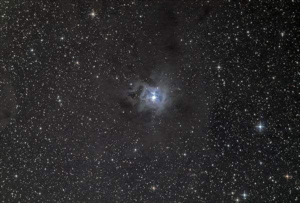 Iris Nebula (NGC 7023) - Astrophotography