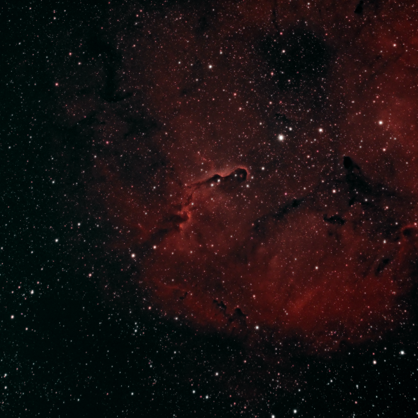 IC 1396 (Elephant's Trunk Nebula) - Astrophotography