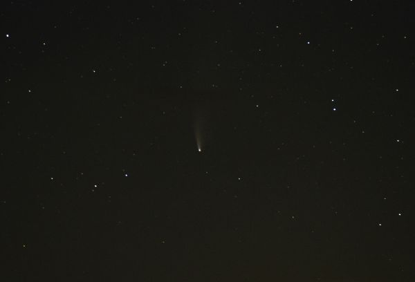 Comet 2020 NeoWise - Astrophotography