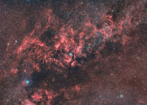 Cygnus constellation wide field in Ha-RGB - Astrophotography