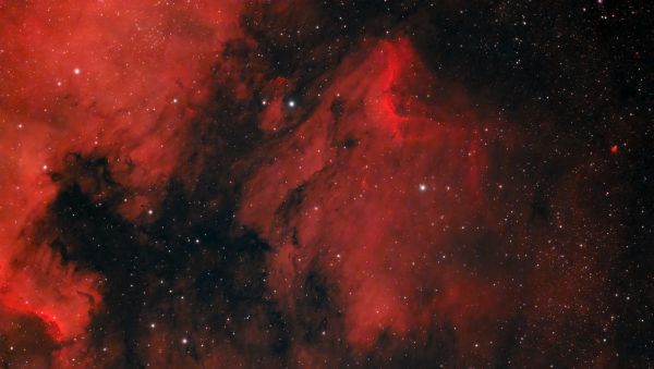 IC 5070 Pelican - Astrophotography
