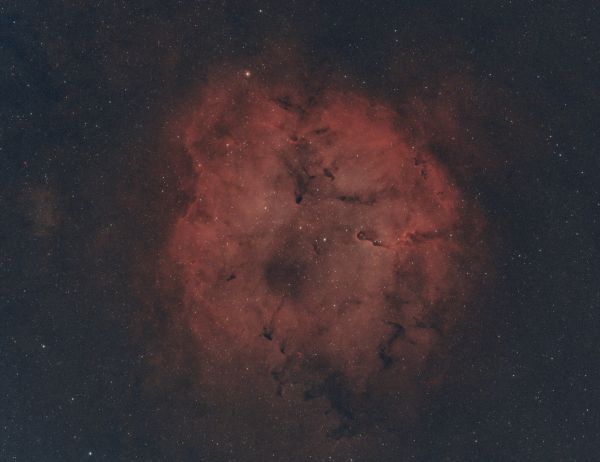 IC 1396 & Mu Cephei, Erakis in the Trunk - Astrophotography