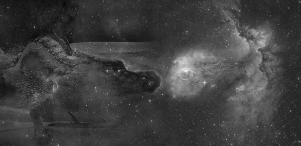 Legendary battle - Astrophotography