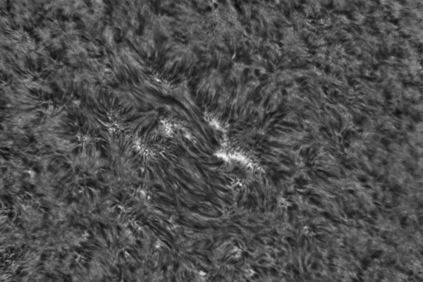 2020.05.25 Sun H-Alpha - Astrophotography