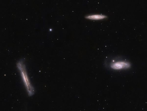Leo Triplet (M 65, M 66, NGC 3628) - Astrophotography