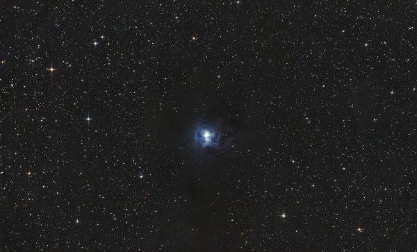 NGC 7023 / Iris Nebula - Astrophotography