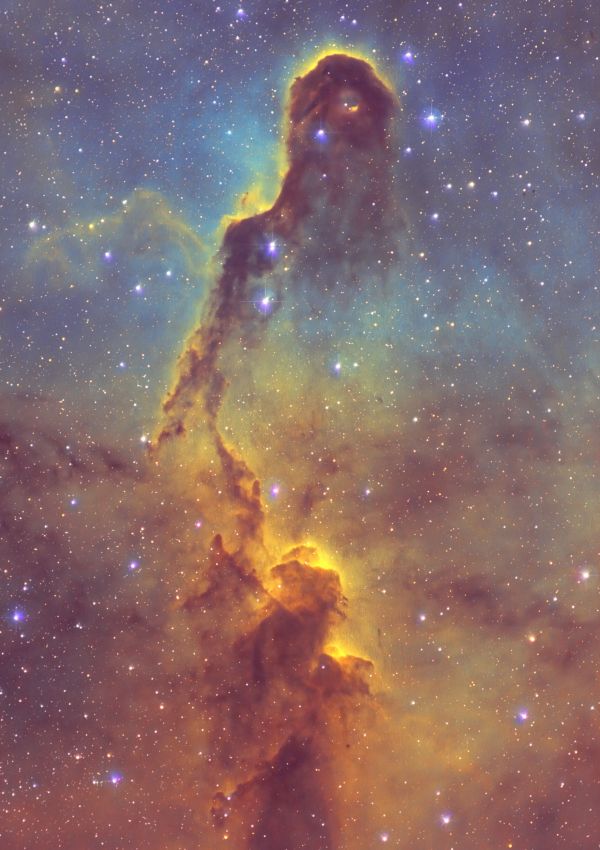 Elephant's Trunk Nebula (Collinder 439, Trumpler 37) in Cepheus in (Synthetic L)SHO palette - Astrophotography