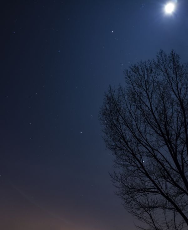 The moon has left the chat. - Astrophotography