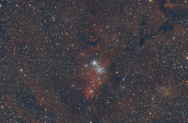 NGC2264 - Astrophotography