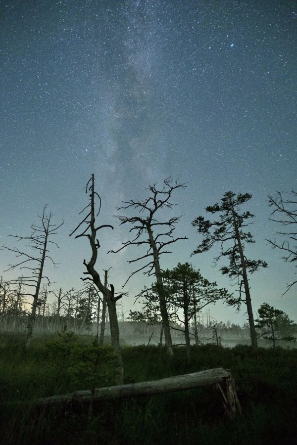 Milky Way 08.2022 - Astrophotography