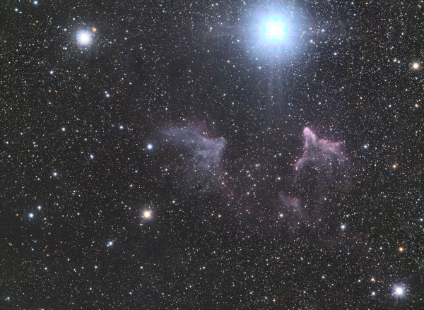 IC59 Cas - Astrophotography