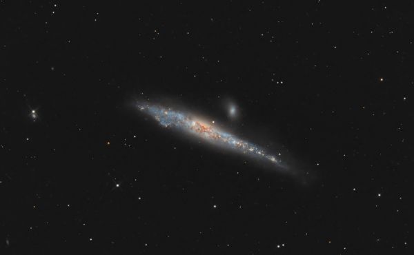 NGC 4631 Galaxy Whale ( The Whale ) - Astrophotography