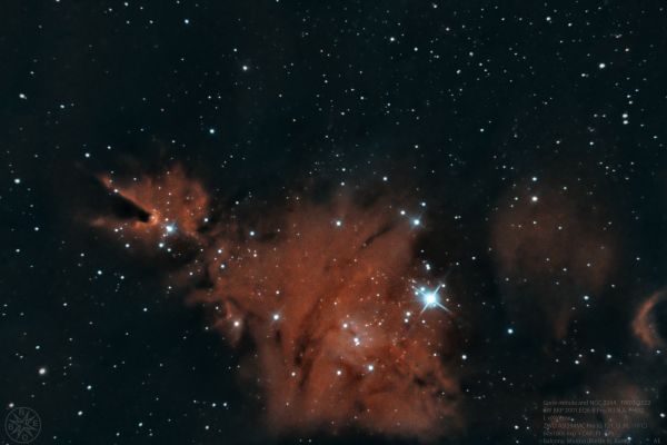 NGC 2264 - Cone Nebula and Christmas Tree Cluster - Astrophotography