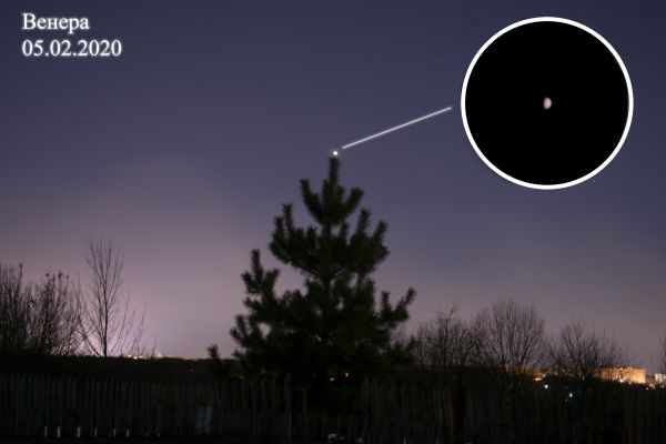 Venus and the Christmas Tree (Art) - Astrophotography