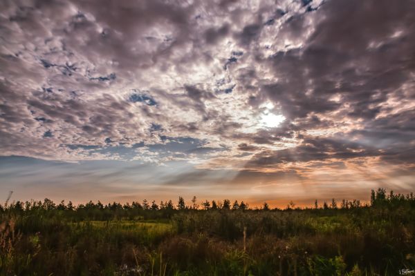 In the moonlight - Astrophotography