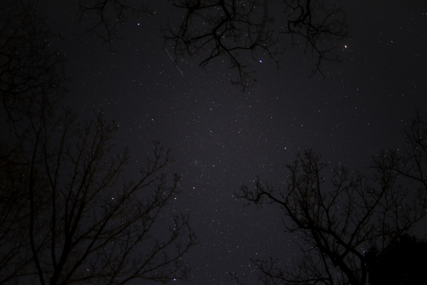 Stars above the forest in Germany. - Astrophotography