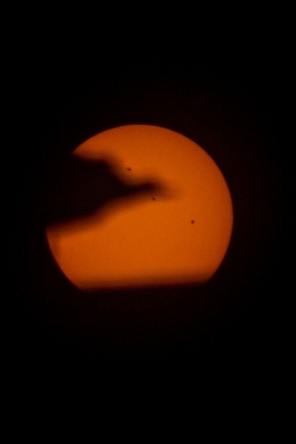A Seagull Against the Sun - Astrophotography