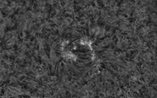 2020.10.25 Sun AR H-Alpha - Astrophotography