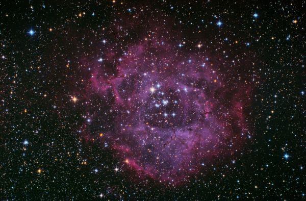 NGC2244 - Astrophotography