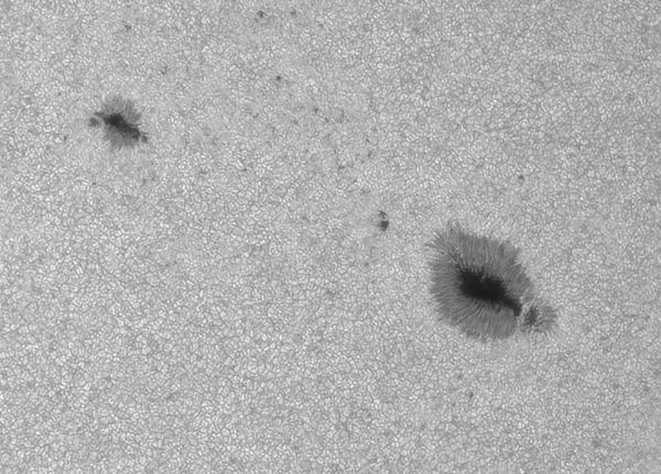 Sunspot Group 4149 from 26.07.2025. - Astrophotography