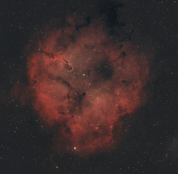 IC 1396 in Cepheus - Astrophotography