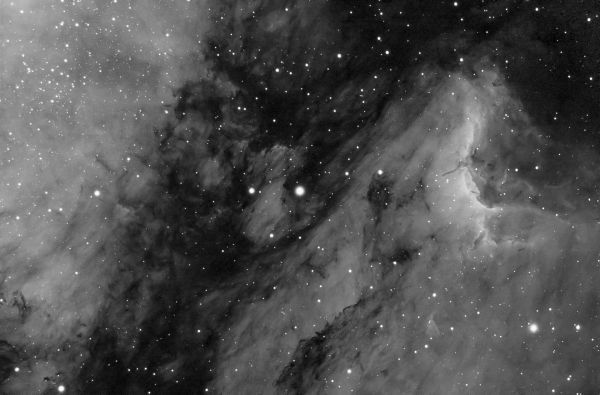 Pelican (version 2, less contrast) - Astrophotography