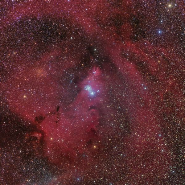 Christmas Tree Cluster (NGC 2264, Cone Nebula) - Astrophotography