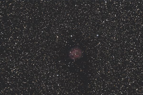 IC 5146 Cocoon Nebula - Astrophotography