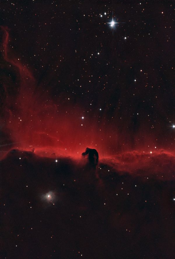 Horse head with dual-band filter - Astrophotography