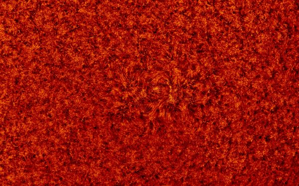 2018.08.05 Sun AR12717 H-Alpha - Astrophotography