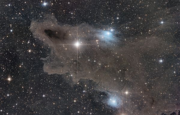 LDN1235 - Shark - Astrophotography