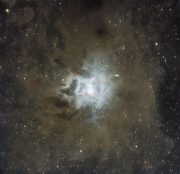 NGC 7023 - Iris Nebula - Astrophotography