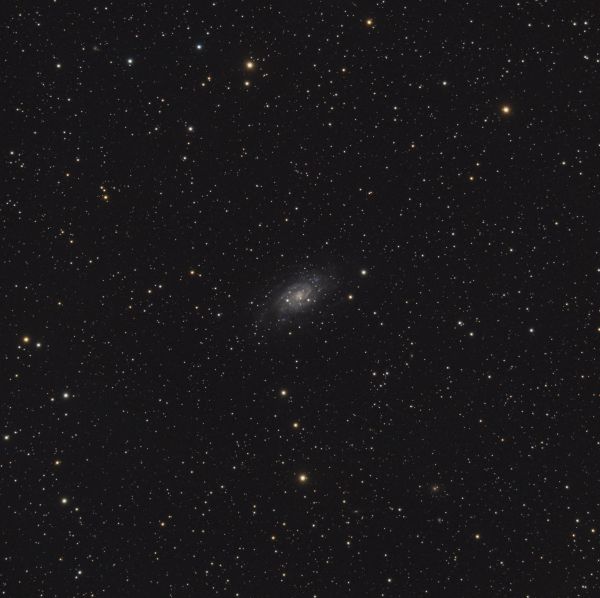 NGC 2403 - Astrophotography