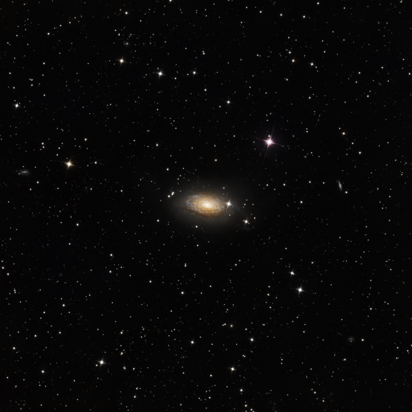 M 63 - Sunflower Galaxy - Astrophotography