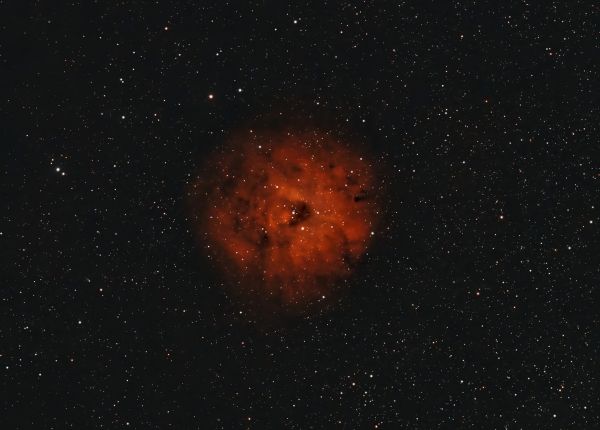 LBN 577  Sh 2-170  Little 