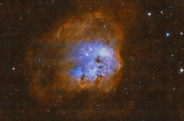 IC 410 - The Tadpoles Nebula - Chuck Novice - Astrophotography